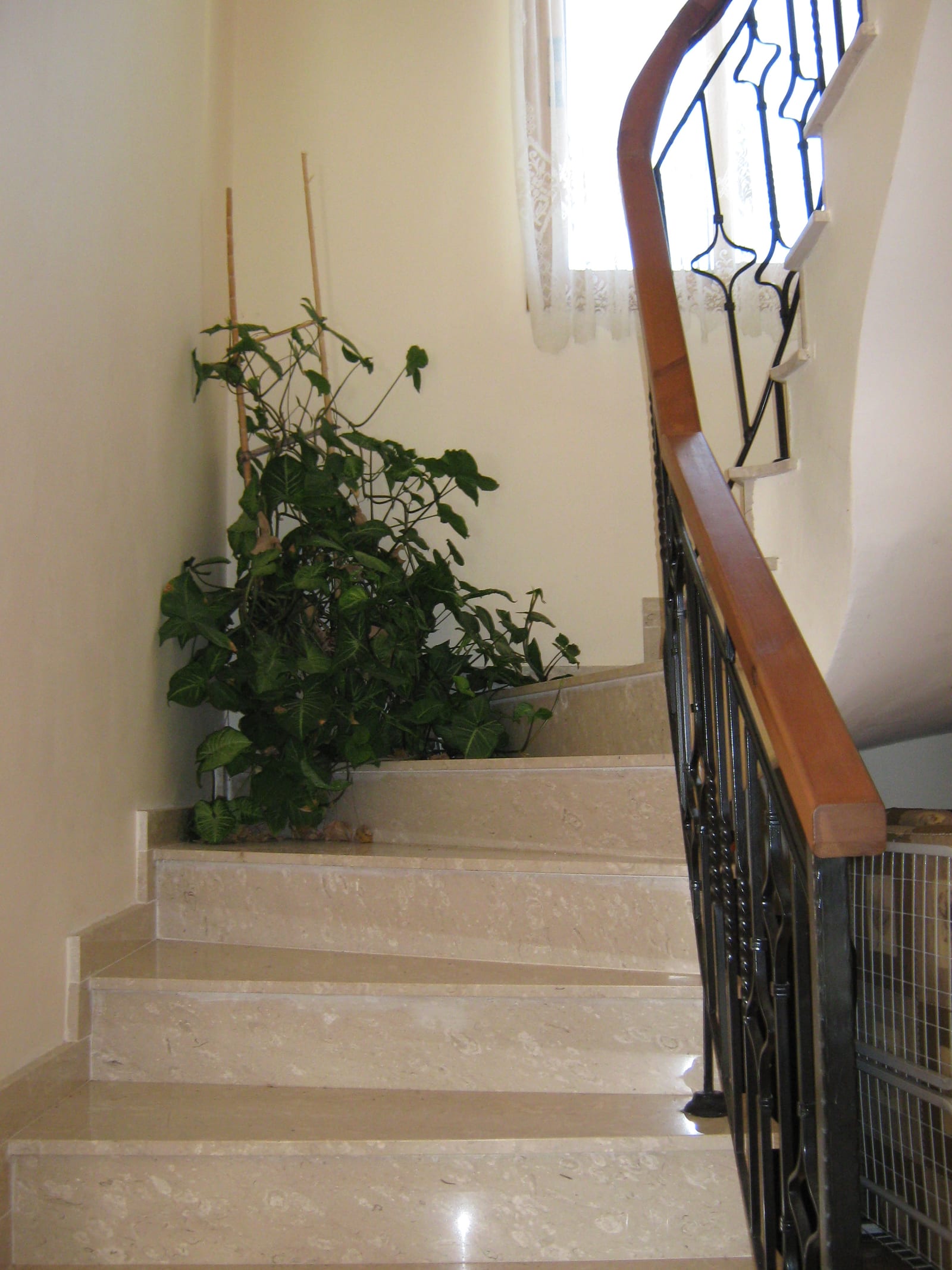 The marble staircase leading to the first floor