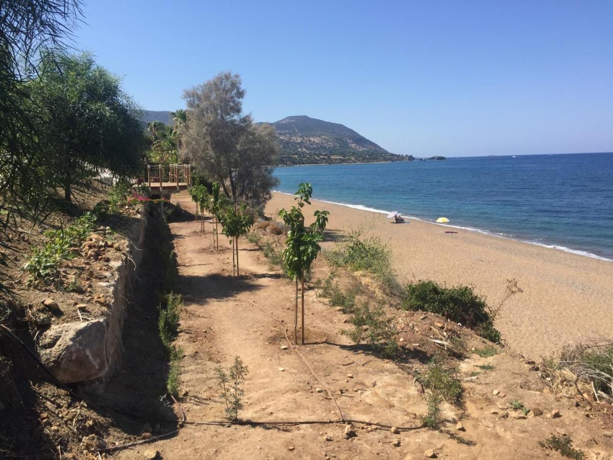 The short path leading from the villa down to the shore