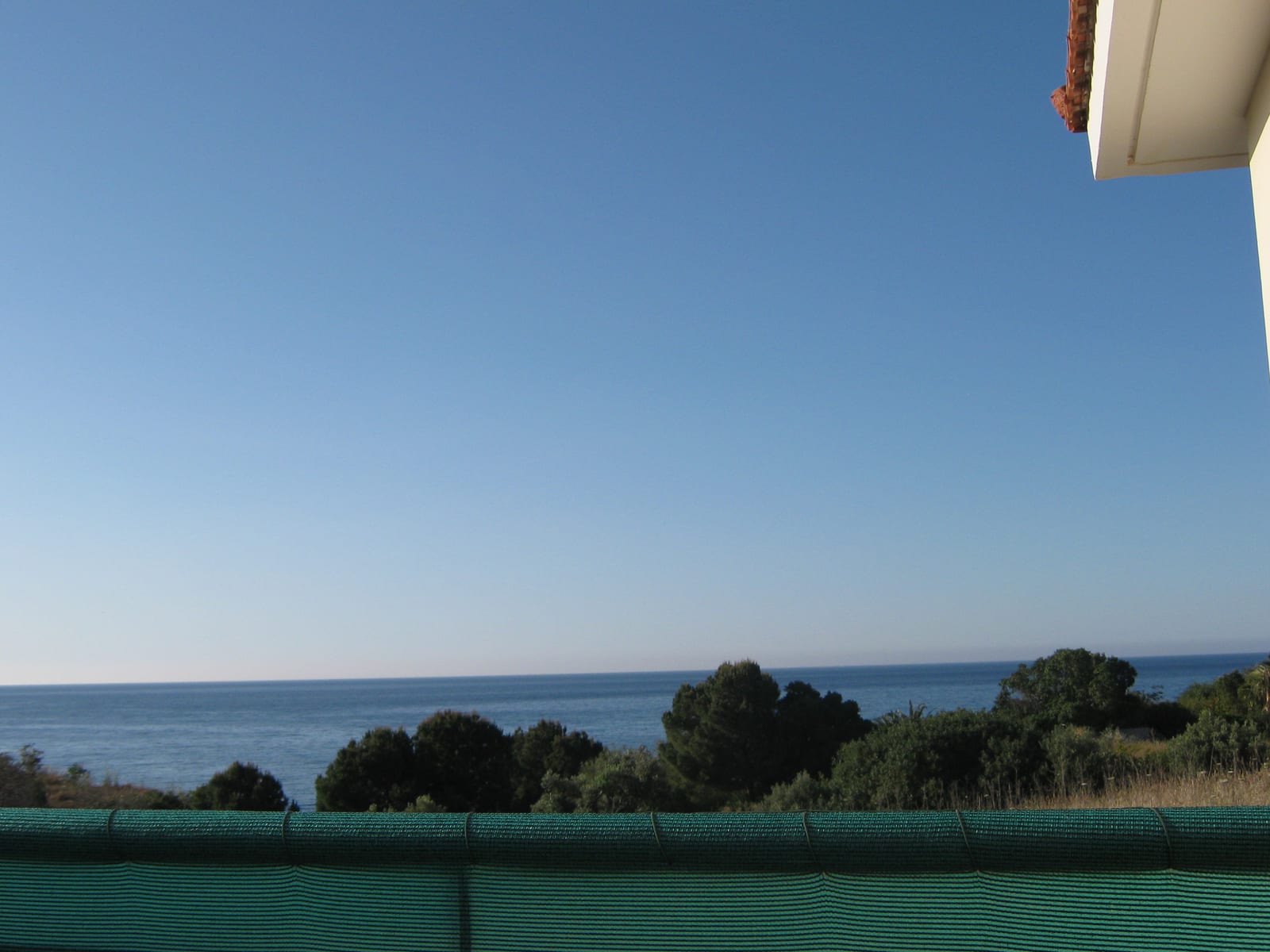 The Mediterranean seen over pine and olive trees from the terrace